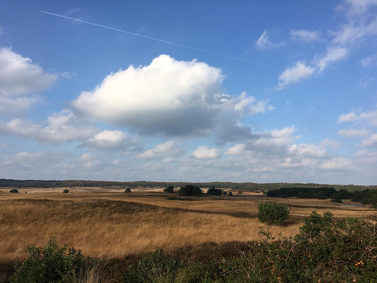 De Slaapfabriek Vakantiehuis En Trainingslocatie Teuge Zewnętrze zdjęcie